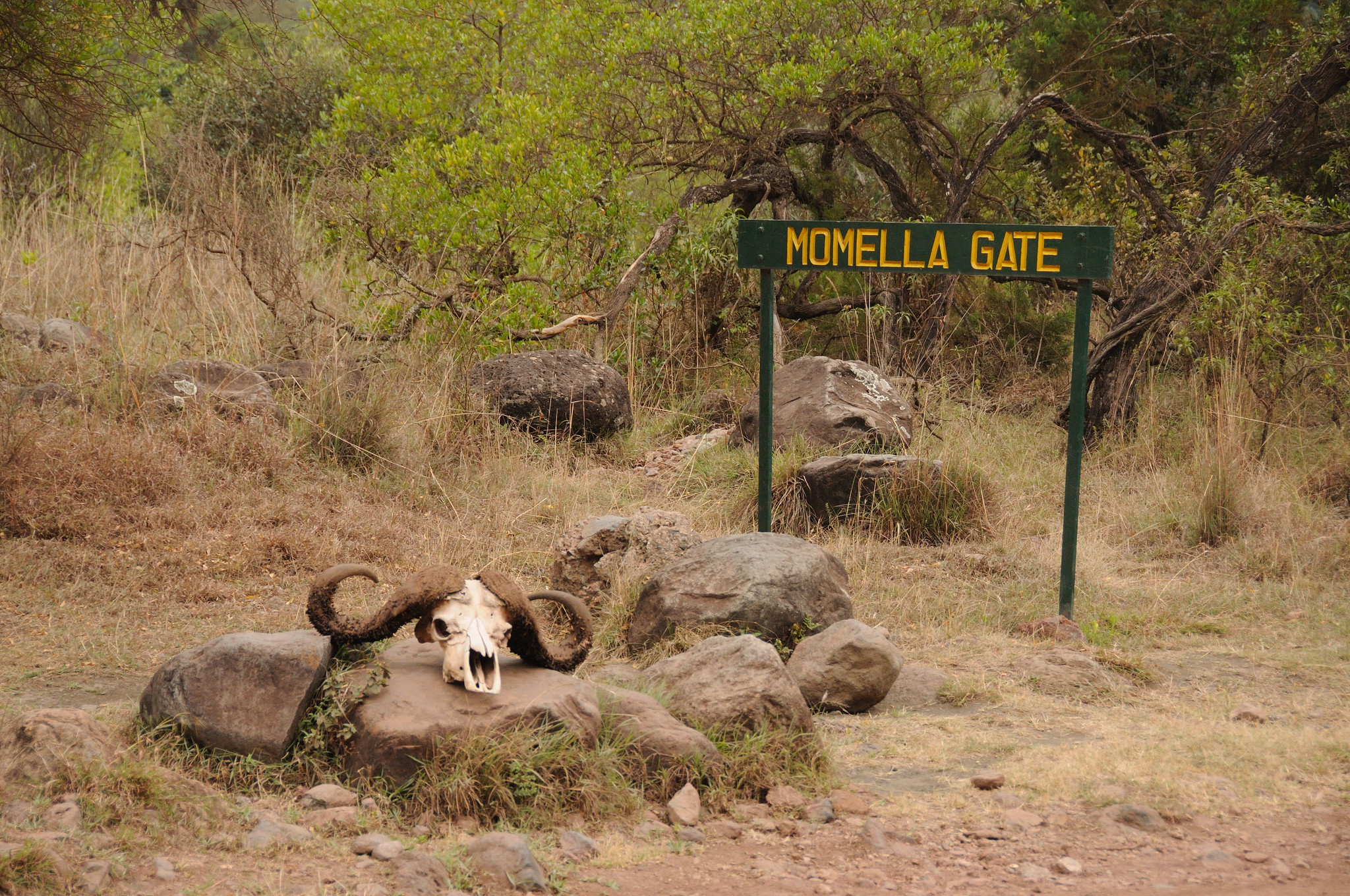 Momella Gate